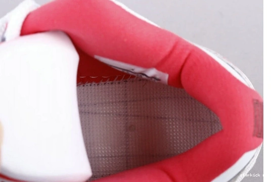 Retro Jordan AH7860 106 11 Snakeskin